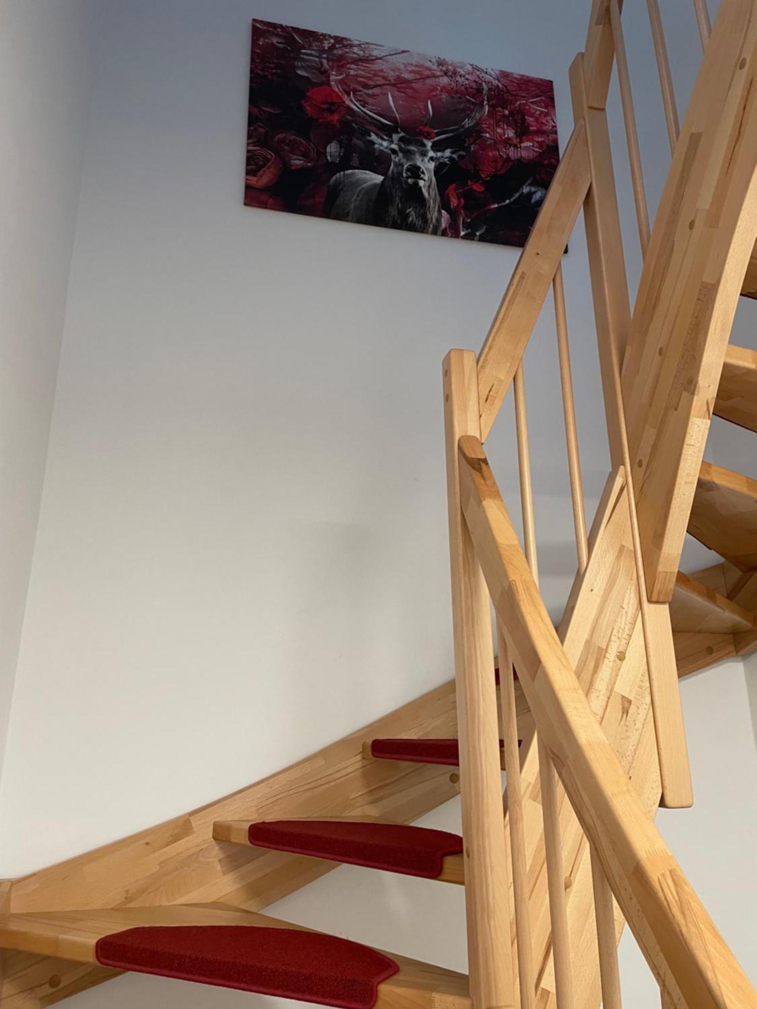 אורניינבורג Ferienwohnung Im Gruenen מראה חיצוני תמונה